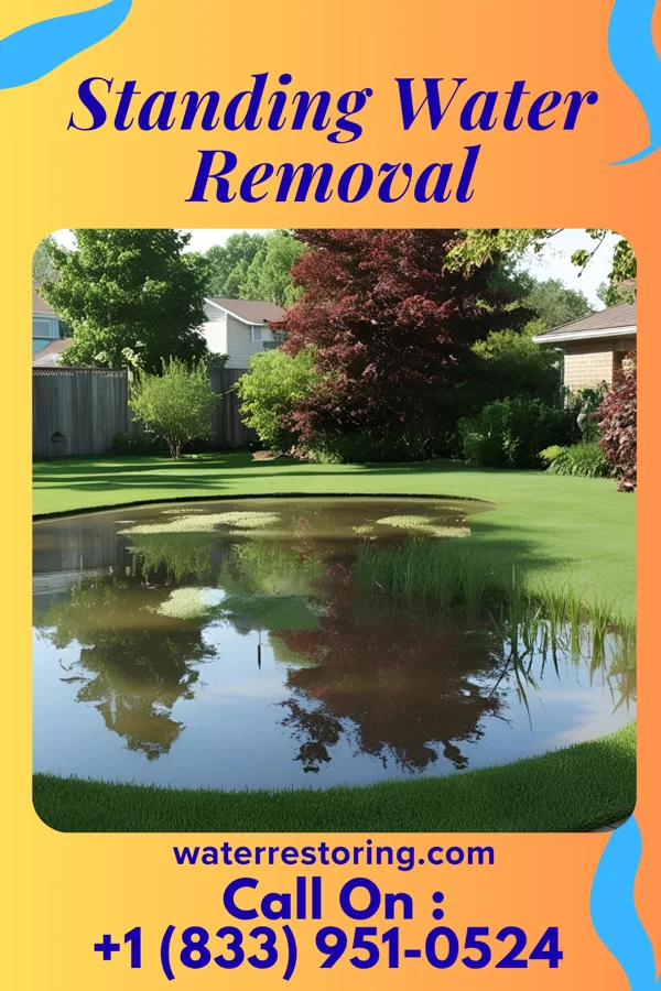 Standing Water Removal in Farnam, NE